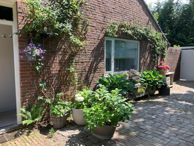 Het Ockhuis Moergestel Exteriör bild